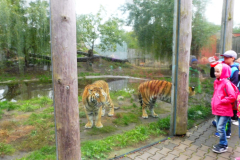 2.10.2018 Výuka v ZOO