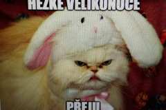 31.3.2021 Tvoříme jarní memes- 5. třída